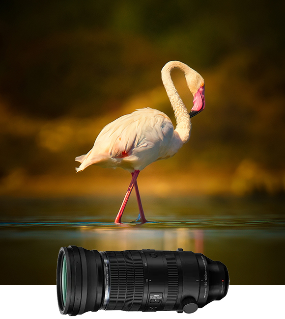 150-600mm