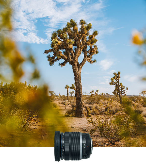 8-25mm