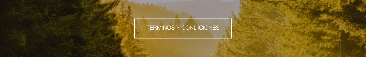 Terms & Conditions