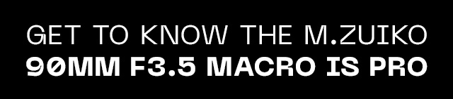 Get to Know the M.Zuiko 90mm F3.5 Macro IS PRO