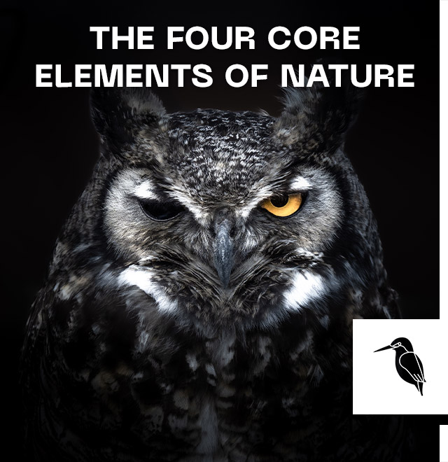 The Four Core Elements of Nature