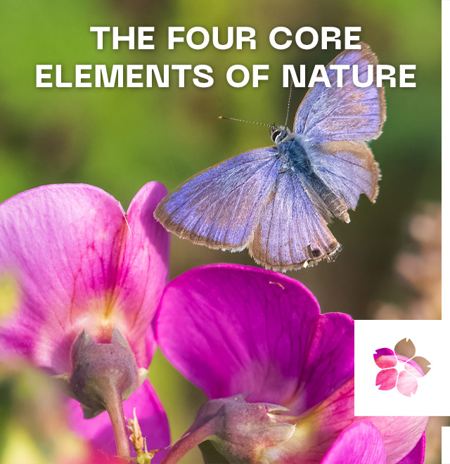 The Four Core Elements of Nature