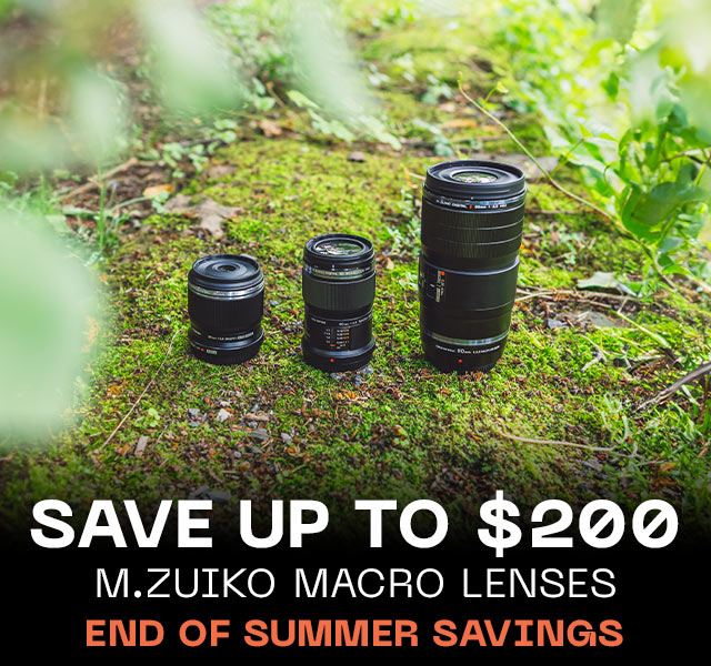 Save Up to $200 - Nature Awaits