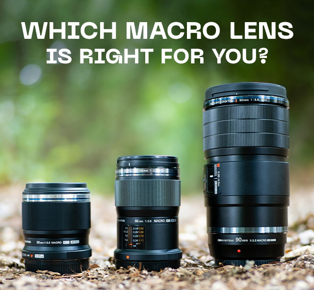 Which Macro Lens is Right for You?