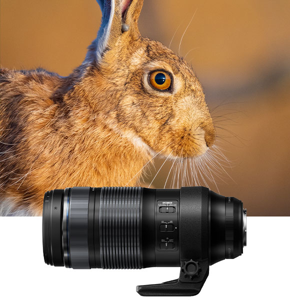 Lens and image