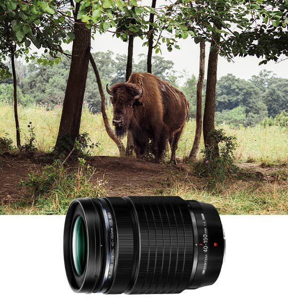Lens and image