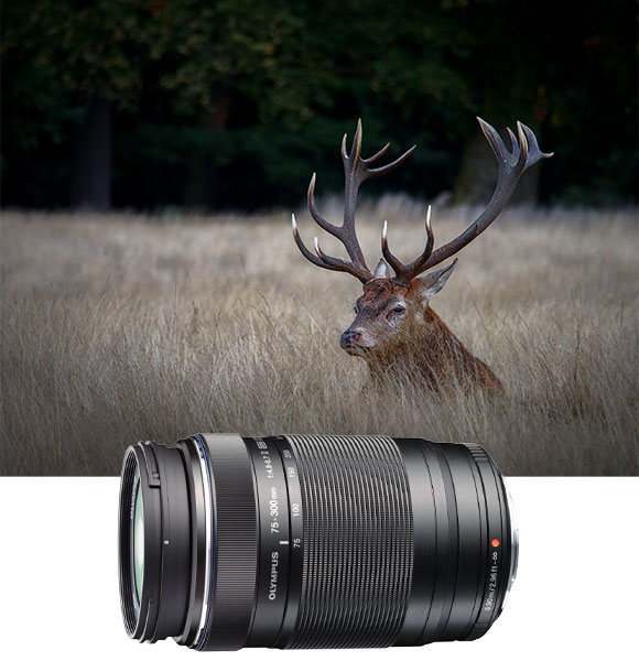Lens and image