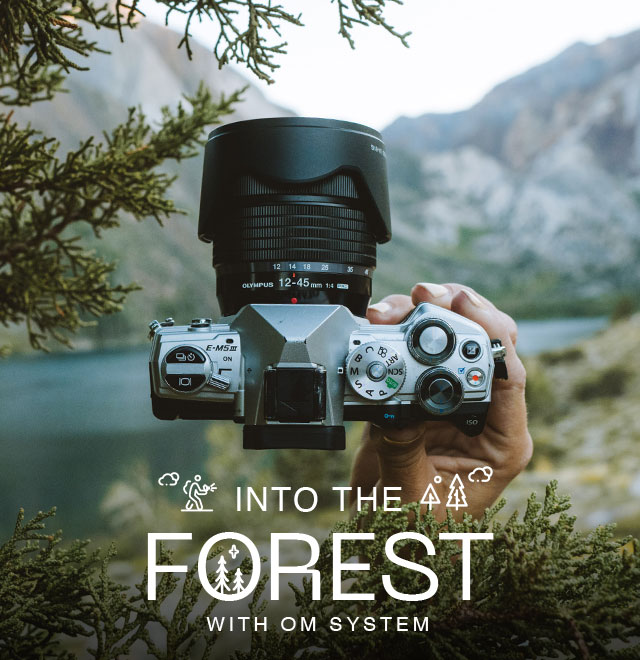 Into the Forest with OM SYSTEM