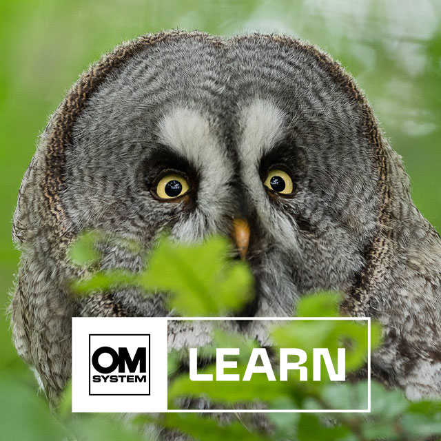 LEARN