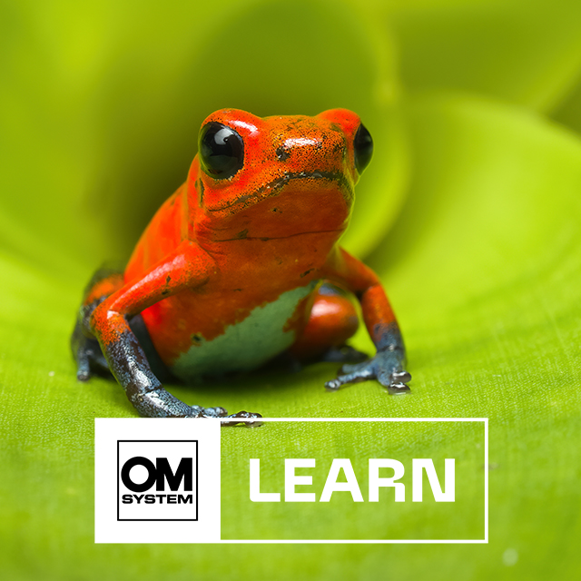 LEARN