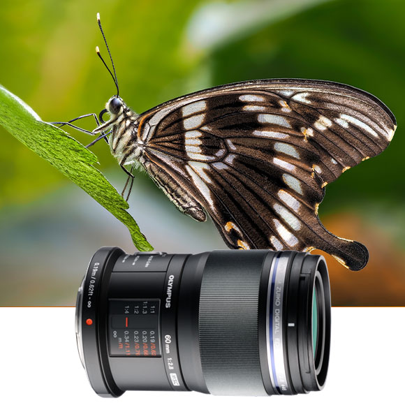 M.Zuiko 60mm F2.8 Macro