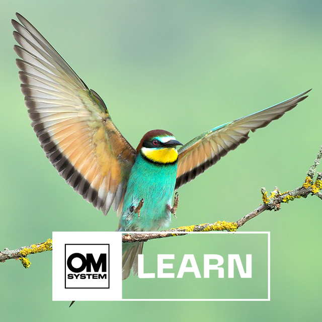 OM System Virtual Events