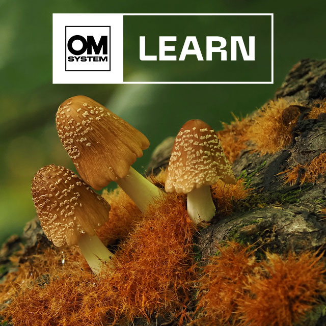 LEARN