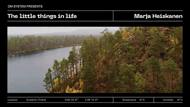 Macro Video