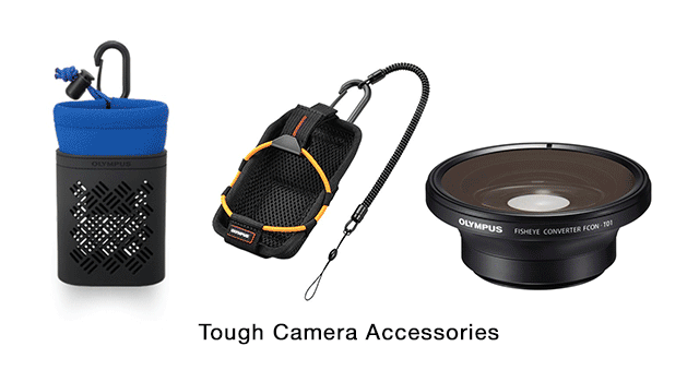 Accessory Variety