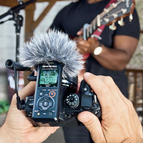 Directional Microphones