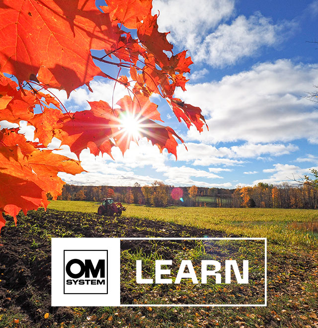 LEARN