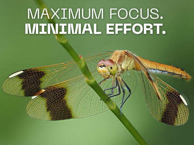 Maximum Focus. Minimal Effort.