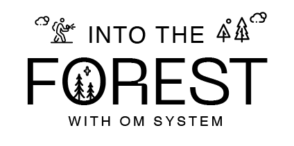 Into the Forest with OM SYSTEM