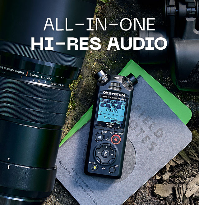 All-In-One Hi-Res Audio