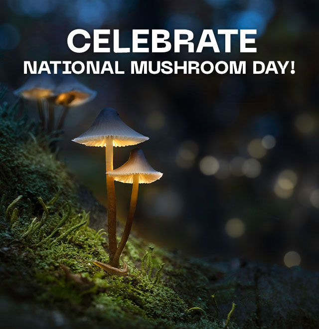 Celebrate National Mushroom Day