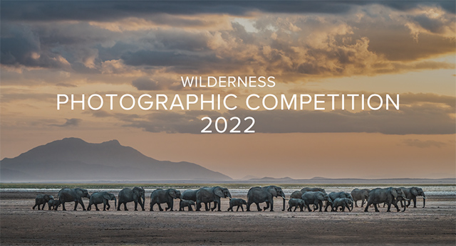 Wilderness Photographic Competition