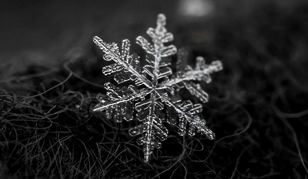 Winter Macro - Snowflakes