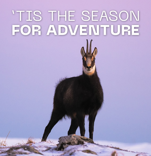 'TIS THE SEASON FOR ADVENTURE